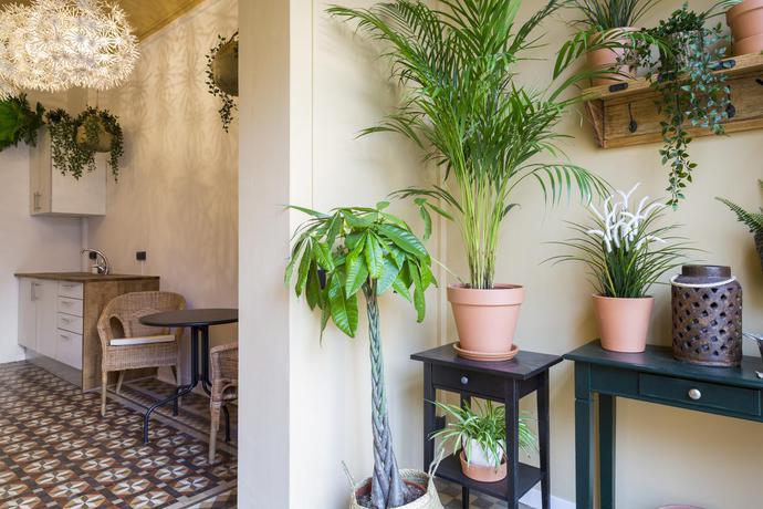 Imagen general del Hotel Casa Maca Boutique. Foto 16