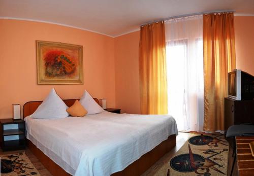 Imagen general del Hotel Casa Magica Busteni. Foto 5