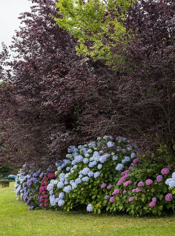 Imagen de los exteriores del Hotel Casa Manoli. Foto 17