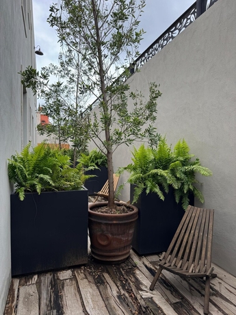 Imagen de la habitación del Hotel Casa M&auml;di boutique. Foto 10