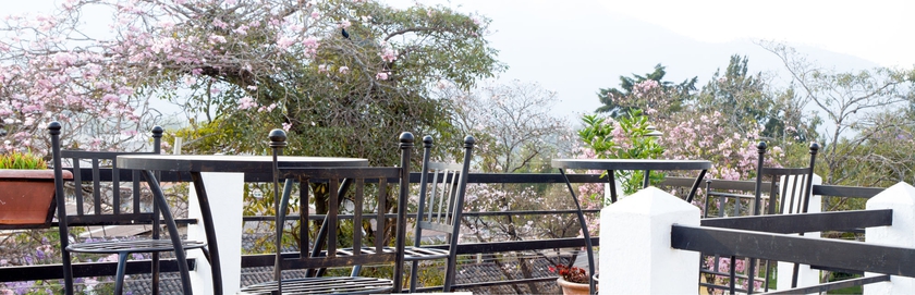 Imagen general del Hotel Casa Mia, Antigua Guatemala. Foto 3