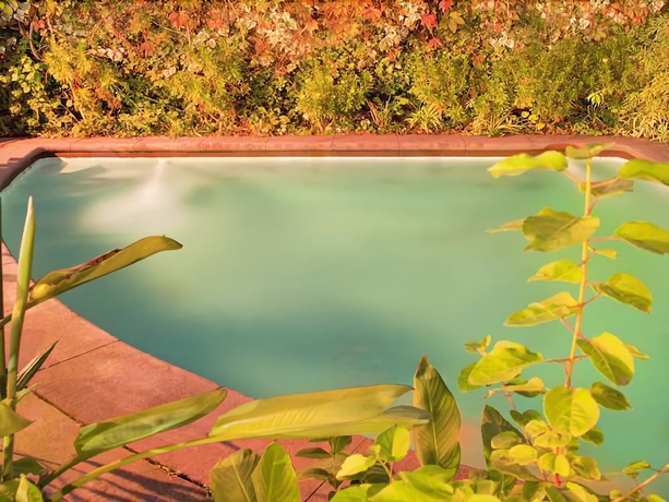 Imagen de la piscina del Hotel Casa Muriel. Foto 13