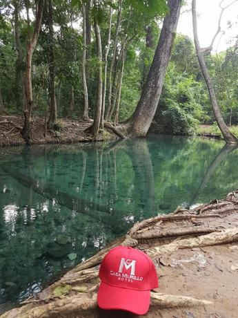 Imagen de la piscina del Hotel Casa Murillo. Foto 20