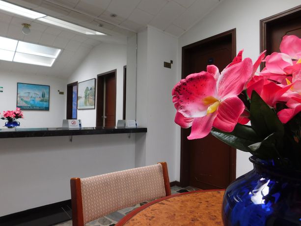 Imagen de los interiores del Hotel Casa Navi. Foto 17