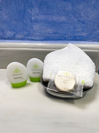 Imagen general del Hotel Casa Noble. Foto 4