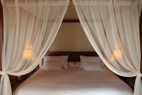 Imagen general del Hotel Casa Palacio Conde Del Álamo. Foto 11