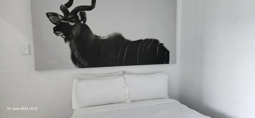 Imagen de la habitación del Hotel Casa Palmeira Guesthouse. Foto 16