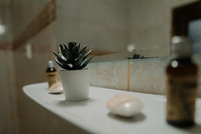 Imagen general del Hotel Casa Pelerinul. Foto 8