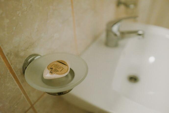 Imagen general del Hotel Casa Pelerinul. Foto 13