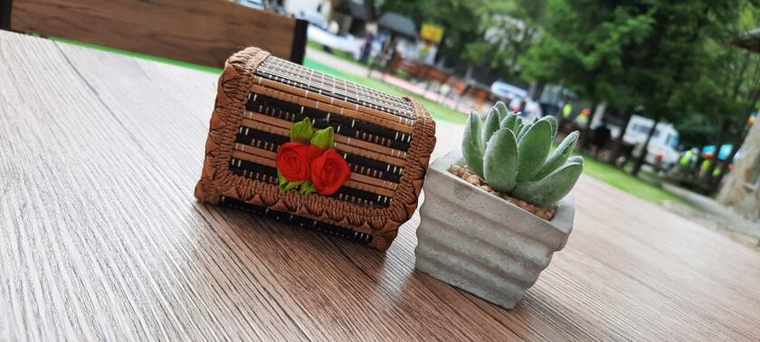 Imagen general del Hotel Casa Pelerinul. Foto 34