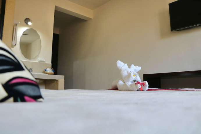 Imagen de la habitación del Hotel Casa Pellegrin. Foto 3