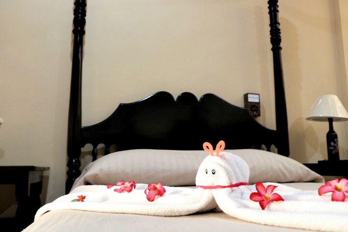 Imagen de la habitación del Hotel Casa Pellegrin. Foto 15