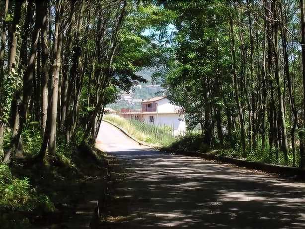 Imagen de los exteriores del Hotel Casa Pendola. Foto 17