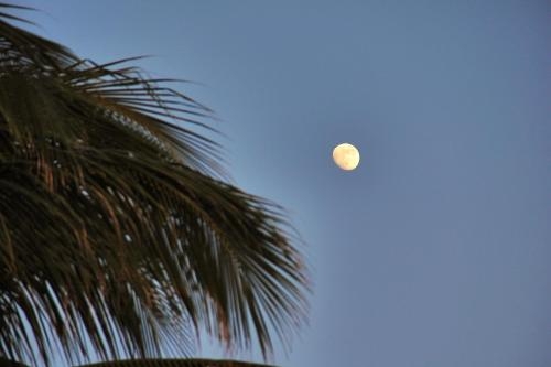 Imagen general del Hotel Casa Pridda. Foto 2