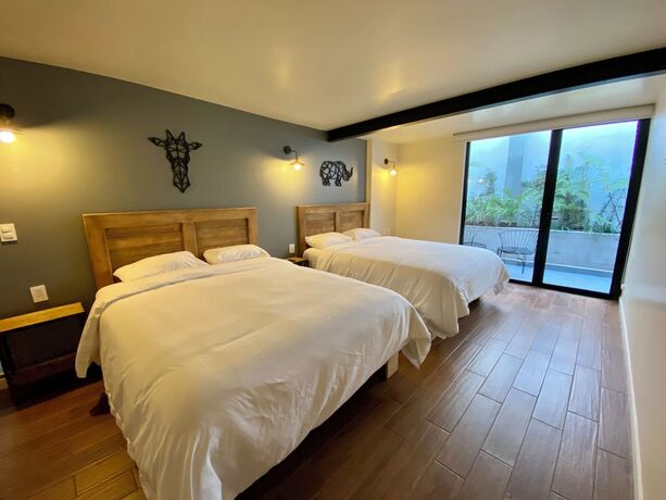 Imagen de la habitación del Hotel Casa Raffaello. Foto 14