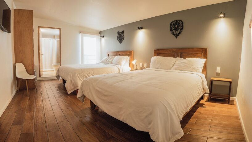 Imagen de la habitación del Hotel Casa Raffaello. Foto 15