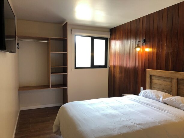 Imagen de la habitación del Hotel Casa Raffaello. Foto 20