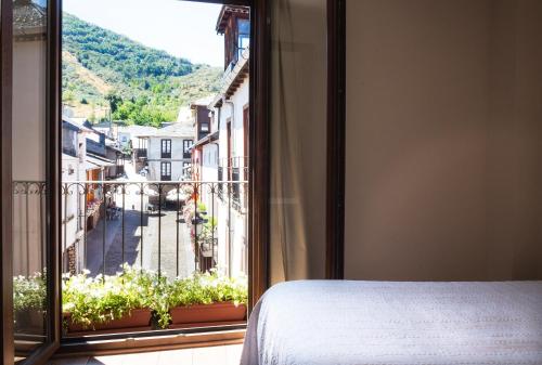 Imagen de la habitación del Hotel Casa Ramon Molina Real. Foto 8