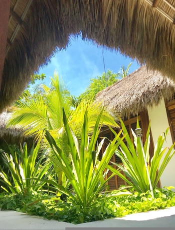 Imagen de la habitación del Hotel Casa Rhino Puerto Escondido Oaxaca Mexico. Foto 11