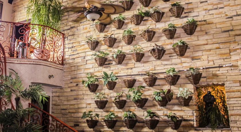 Imagen de los interiores del Hotel Casa Roland San José. Foto 9