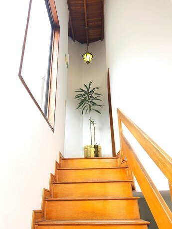 Imagen general del Hotel Casa Rosales. Foto 10