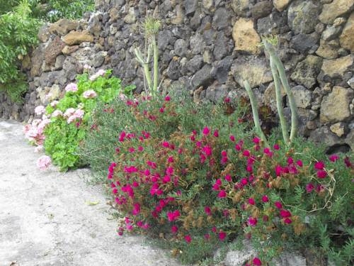 Imagen general del Hotel Casa Rural Abuelo Pancho. Foto 8