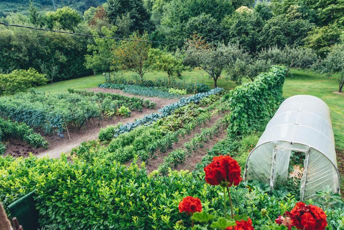 Imagen de los exteriores del Hotel Casa Rural Jesuskoa. Foto 8