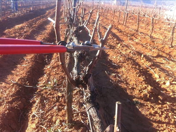 Imagen de los interiores del Hotel Casa Rural Magnanimus. Foto 18