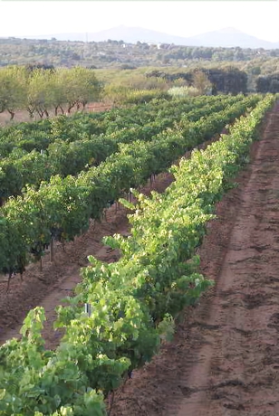 Imagen de los interiores del Hotel Casa Rural Magnanimus. Foto 19