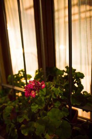 Imagen de la habitación del Hotel Casa Rural Nido De Alcudia. Foto 2