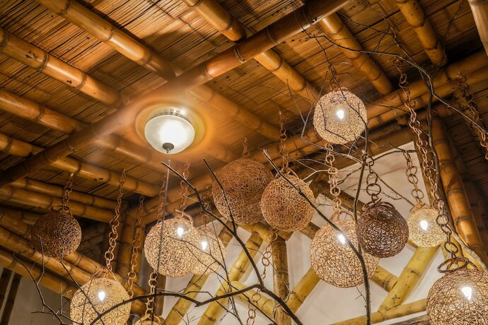 Imagen general del Hotel Casa San Carlos Lodge. Foto 7