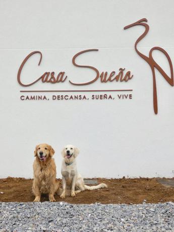 Imagen general del Hotel Casa Sueño. Foto 8