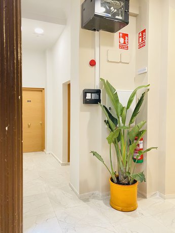 Imagen de los interiores del Hotel Casa Vestali. Foto 20