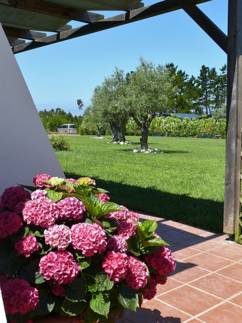 Imagen de los exteriores del Hotel Casa Vicentina. Foto 9