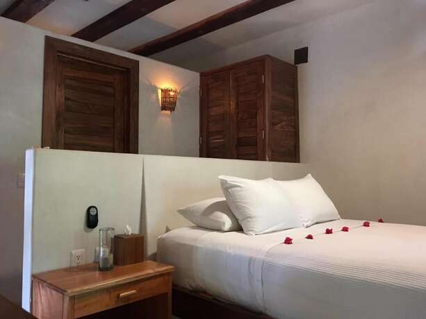 Imagen general del Hotel Casa Violeta. Foto 4