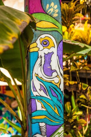 Imagen general del Hotel Casa del Sol, Monta&ntilde;ita. Foto 10