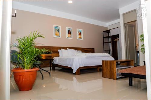 Imagen general del Hotel CasaBlanca Sechura. Foto 5