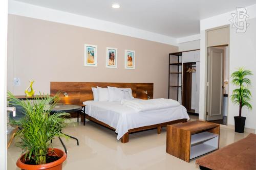 Imagen de la habitación del Hotel CasaBlanca Sechura. Foto 19