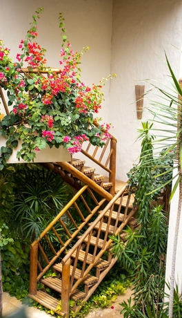 Imagen de la habitación del Hotel CasaLô. Foto 12