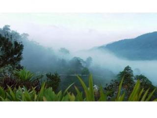 Imagen general del Hotel Casabrina Vacation Villas. Foto 15