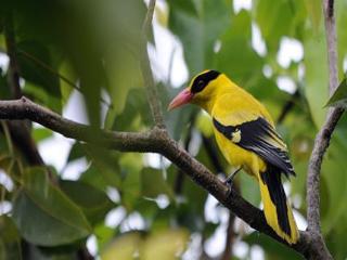 Imagen general del Hotel Casabrina Vacation Villas. Foto 17