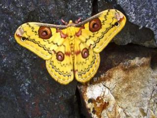 Imagen general del Hotel Casabrina Vacation Villas. Foto 20