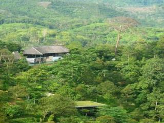 Imagen general del Hotel Casabrina Vacation Villas. Foto 22