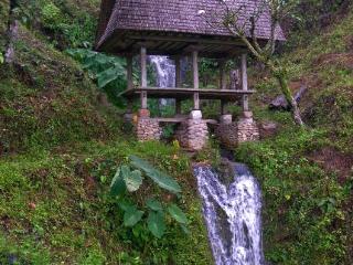 Imagen general del Hotel Casabrina Vacation Villas. Foto 31