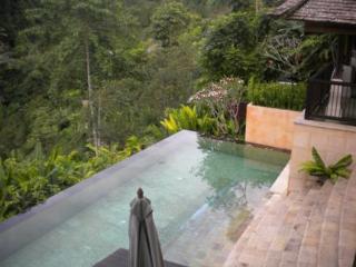 Imagen general del Hotel Casabrina Vacation Villas. Foto 33