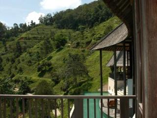 Imagen general del Hotel Casabrina Vacation Villas. Foto 36