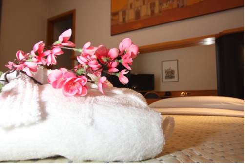 Imagen de la habitación del Hotel Casagrande. Foto 15