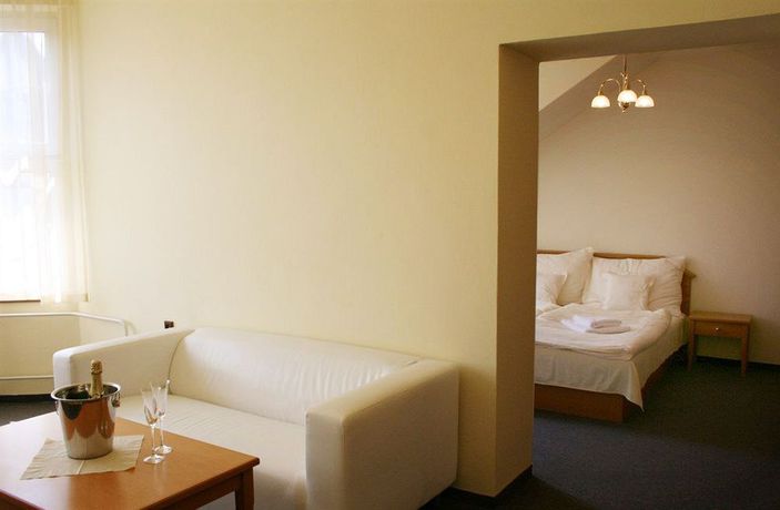 Imagen de la habitación del Hotel Casanova, Duchcov. Foto 6