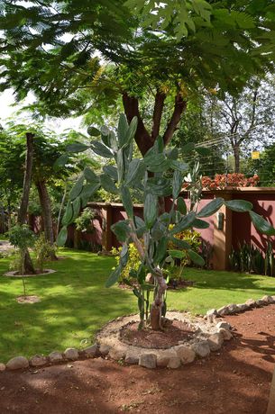 Imagen de los exteriores del Hotel Casas Del Toro Playa Flamingo. Foto 4