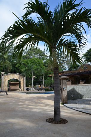 Imagen de los exteriores del Hotel Casas Del Toro Playa Flamingo. Foto 7